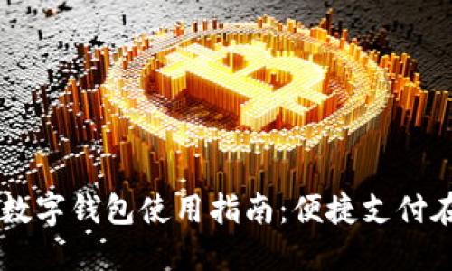 新疆数字钱包使用指南：便捷支付在这里