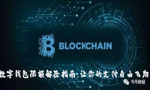 数字钱包限额解除指南：让你的支付自由飞翔！