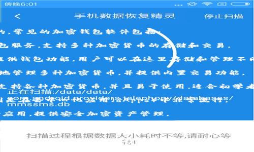 加密钱包通常是集成在各种加密货币交易平台和区块链软件中的。常见的加密钱包软件包括：

1. **Coinbase**：一个流行的加密货币交易平台，提供内置的钱包服务，支持多种加密货币的存储和交易。

2. **Binance**：全球最大的加密货币交易所之一，其平台上也提供钱包功能，用户可以在这里存储和管理不同的加密资产。

3. **Exodus**：一款功能强大的桌面和移动钱包，用户可以方便地管理多种加密货币，并提供内置交易功能。

4. **Trust Wallet**：这是Binance官方推出的一款移动钱包，支持各种加密货币，并且易于使用，适合初学者。

5. **MetaMask**：主要用于以太坊及其代币的存储和管理，特别是在去中心化应用（dApps）中非常流行。

6. **Ledger Live**：与Ledger硬件钱包配合使用的桌面和移动应用，提供安全加密资产管理。

7. **Trezor**：这是另一款硬件钱包，与Trezor应用一起使用，提供高级安全功能，适合长期存储加密资产。

不同的钱包有不同的安全性、使用便捷性以及支持的币种，用户可以根据自己的需求选择合适的钱包。为了确保你的加密资产安全，选择信誉良好、用户评价高的钱包非常重要。