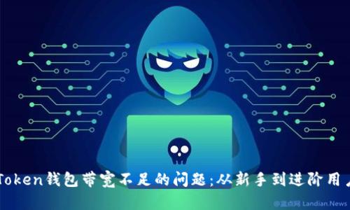 如何解决imToken钱包带宽不足的问题：从新手到进阶用户的全面指南