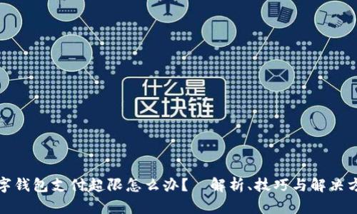 数字钱包支付超限怎么办？—解析、技巧与解决方案