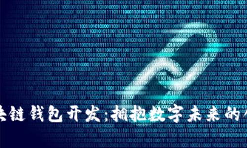 深圳区块链钱包开发：拥抱数字未来的创新之路