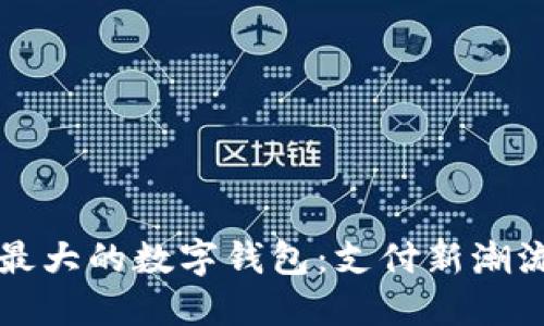 解锁亚洲最大的数字钱包：支付新潮流的引领者