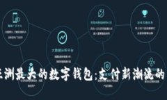 解锁亚洲最大的数字钱包：支付新潮流的引领者