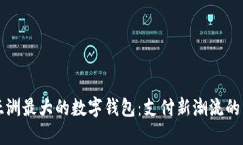 解锁亚洲最大的数字钱包：支付新潮流的引领者