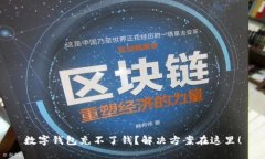 数字钱包充不了钱？解决方案在这里！