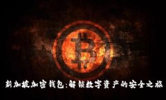 新加坡加密钱包：解锁数字资产的安全之旅