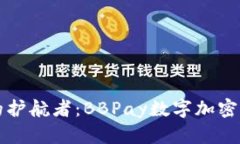 全球数字资产安全的护航者：BBPay数字加密钱包引