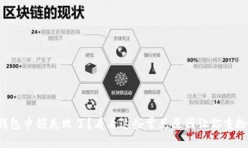 数字钱包申领失败了？看看这些常见原因让你重拾信心！