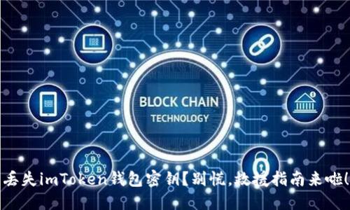 丢失imToken钱包密钥？别慌，救援指南来啦！