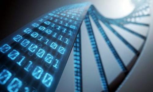 imToken ETH钱包如何转出EOS：简单步骤与技巧

当你在imToken ETH钱包中持有EOS并希望将其转出时，有一些简单的步骤可以遵循。不过，在此之前，让我们来了解一下相关背景信息...EOS是什么？怎能在钱包中存储、转移它？这篇文章将为你提供详细的指南，帮助你顺利完成转账。

什么是EOS？

EOS是一种区块链平台，旨在提供快速、高效的去中心化应用（dApps）环境。想象一下，这就如同是一个充满活力的城市，里面住着各种各样的“应用”居民，彼此互相交流、合作...又充满竞争。

与其他加密货币不同，EOS的网络采用了不同的共识机制和权利分配方式，让用户可以在没有矿工的情况下发起和验证交易——这真的是一种颠覆性的创新！不过，当你在imToken钱包中存有EOS时，如何将其转移到其他账户呢？我们来看看步骤。

步骤一：确保你的imToken钱包已安装正确版本

首先，确保你下载并安装的imToken钱包是最新版本。如果你还在使用老版本，可能会影响你对EOS的管理功能。简单的更新一下，确保你拥有最新的功能和安全性...这就像是给你的手机装上最新的应用，效果会更好。

步骤二：打开EOS钱包并查看余额

打开imToken，选择“钱包”选项卡，可以在这里找到你所有的资产。然后，找到EOS，点击进入，查看你的余额...这些都是你辛苦获得的成果，是吧？

步骤三：点击转账按钮

在EOS余额页面，找到并点击“转账”按钮。这一步很重要，直接关系到你即将进行的操作。不过，在此之前，请确保你已经准备好了接受资金的地址——这就像是要给朋友寄包裹，得先确认好邮寄地址。

步骤四：输入接收地址和数量

在转账页中，输入你想要发送的EOS数量以及接收方的地址...小心！这里的地址一定要正确无误，任何输入错误都有可能导致资产丢失——这可不是开玩笑的！

步骤五：确认交易细节

在确认页面上，确保所有信息都正确无误，特别是接收地址和转账金额。这就像在下单时仔细查看购物车的商品，确保你没有遗漏或选错东西。

步骤六：输入密码确认交易

为了保证你的账户安全，imToken会要求你输入密码以确认交易。这一步是必不可少的，只有这样，你才能保护你的资产在一个安全的环境中转移——这就像是保证你家的大门锁好，确保没有人可以轻易进入。

步骤七：等待交易确认

当你完成所有的步骤后，交易会被提交到EOS网络中，这时候就需要耐心等待交易确认。通常，这个过程不会太长...稍等片刻，你就能看到资金已经成功转出。

可能遇到的问题

在转出EOS的过程中，你可能会遇到一些问题。例如，网络拥堵导致交易确认时间延长，或者因为地址输入错误导致转账失败...但别担心，这些都是常见的问题，及时联系imToken客服即可解决。

总结

通过以上的步骤，你应该能够顺利地将EOS从imToken ETH钱包中转出。这一切的过程虽说有些繁琐，但考虑到区块链的安全性与去中心化特性，这些都是必要的操作...为了保护你的资产安全，花点时间是值得的。

希望这篇文章能够帮助到你，使你在使用imToken钱包的过程中更得心应手！如有其他疑问或需要进一步的支持，随时欢迎提出。毕竟，加密世界是丰富而复杂的，我们一起探索，共同前行！

imToken, EOS转账, 以太坊钱包, 加密货币/guanjianci

参考文献：  
1. EOS区块链文档  
2. imToken官方帮助中心