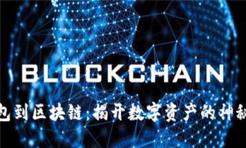 从钱包到区块链：揭开数字资产的神秘面纱