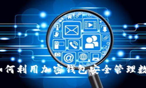 捷克人如何利用加密钱包安全管理数字资产？