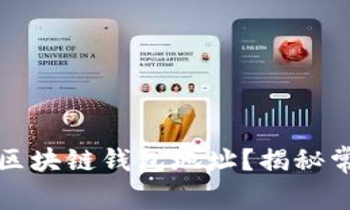 如何安全更换区块链钱包地址？揭秘常见误区与秘诀