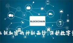 揭开比太钱包私钥加密的神秘面纱：保护数字资