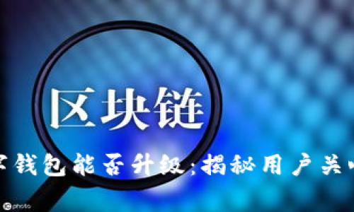 最低限数字钱包能否升级：揭秘用户关心的那些事