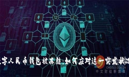 数字人民币钱包被冻结：如何应对这一突发状况？