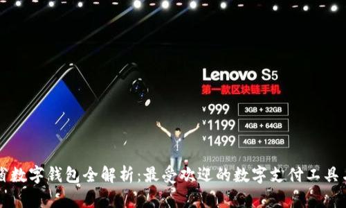 湖南省数字钱包全解析：最受欢迎的数字支付工具与应用