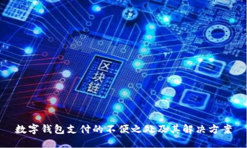 数字钱包支付的不便之处及其解决方案