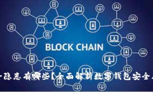 数字钱包的安全隐患有哪些？全面解析数字钱包安全风险与应对策略