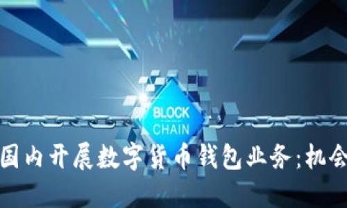 如何在国内开展数字货币钱包业务：机会与挑战