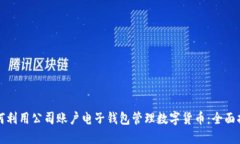 如何利用公司账户电子钱包管理数字货币：全面