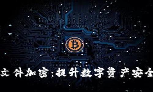 如何实现钱包文件加密：提升数字资产安全性的全面指南