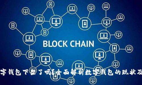 ### 数字钱包下架了吗？全面解析数字钱包的现状及未来趋势
