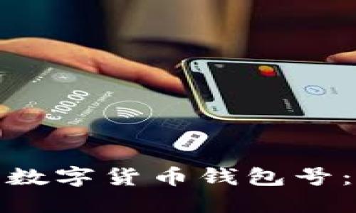 : 如何查看数字货币钱包号：一步步指南