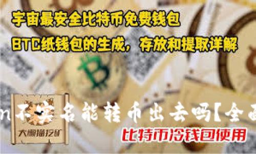 数字钱包ImToken不实名能转币出去吗？全面解析与用户指南