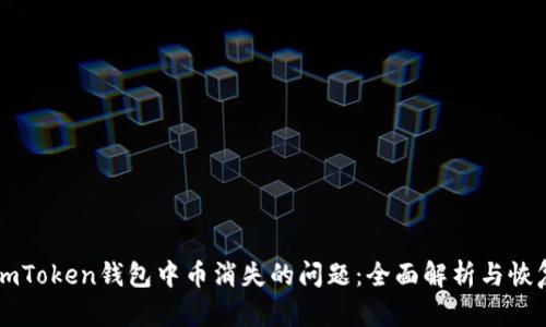 解决imToken钱包中币消失的问题：全面解析与恢复指南