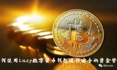 如何使用Lucy数字货币钱包进行安全的资金管理