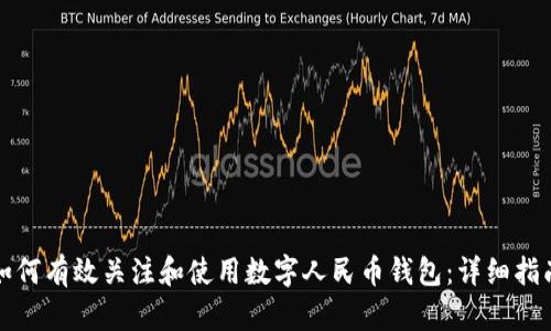 如何有效关注和使用数字人民币钱包：详细指南
