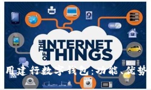 如何高效使用建行数字钱包：功能、优势与实用技巧