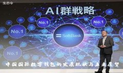 中国国际数字钱包的发展现状与未来展望