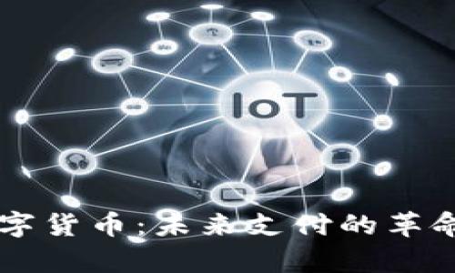 电子钱包与数字货币：未来支付的革命与安全性分析