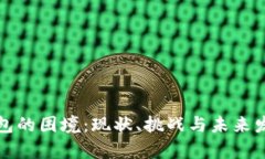 数字钱包的困境：现状、挑战与未来发展分析