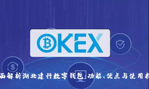 全面解析湖北建行数字钱包：功能、优点与使用指南