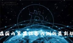 imToken钱包在国内苹果设备内测的最新动态及使用