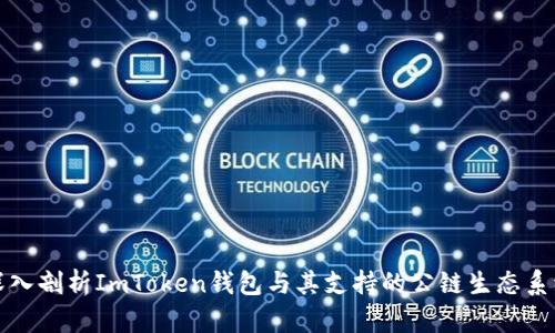 深入剖析ImToken钱包与其支持的公链生态系统