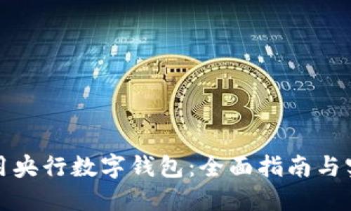 如何使用央行数字钱包：全面指南与实用技巧