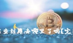 以太坊钱包imToken能查到币去哪里了吗？完整指南