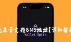 imToken钱包是否支持BNB地址？详细解析与使用指南