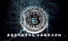 最稳定的数字钱包：全面解析与评测