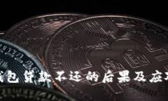数字钱包贷款不还的后果及应对策略