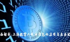 全面解析：上海数字人民币钱包的应用与未来发
