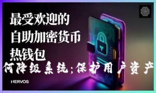 数字钱包如何降级系统：保护用户资产的有效策略