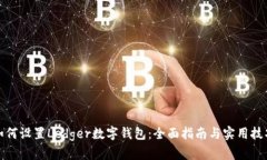 如何设置Ledger数字钱包：全面指南与实用技巧