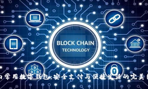 国内常用数字钱包：安全支付与便捷生活的完美结合