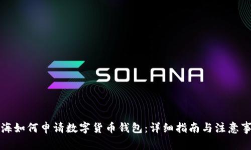 上海如何申请数字货币钱包：详细指南与注意事项